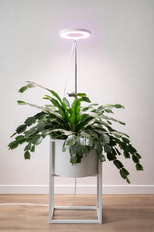 LED-kasvivalo jalustalla – Lisävalo sisäkasveille | Valonlehti