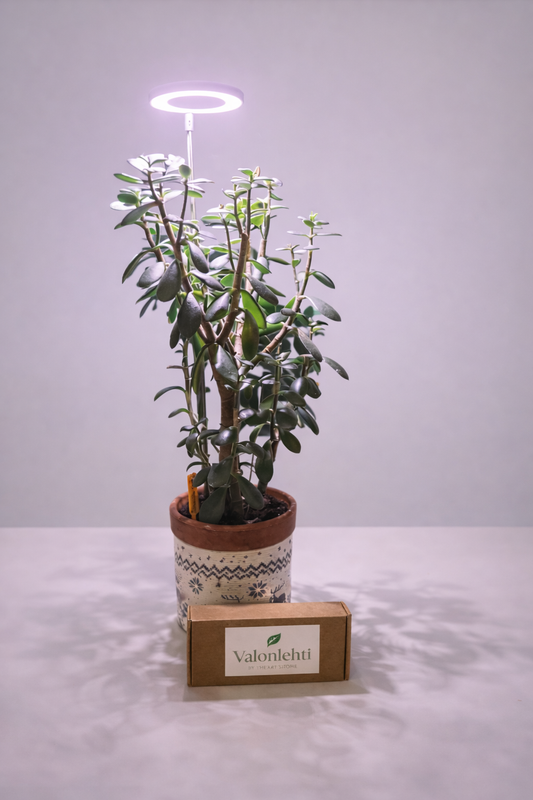 LED-kasvivalo jalustalla – Lisävalo sisäkasveille | Valonlehti