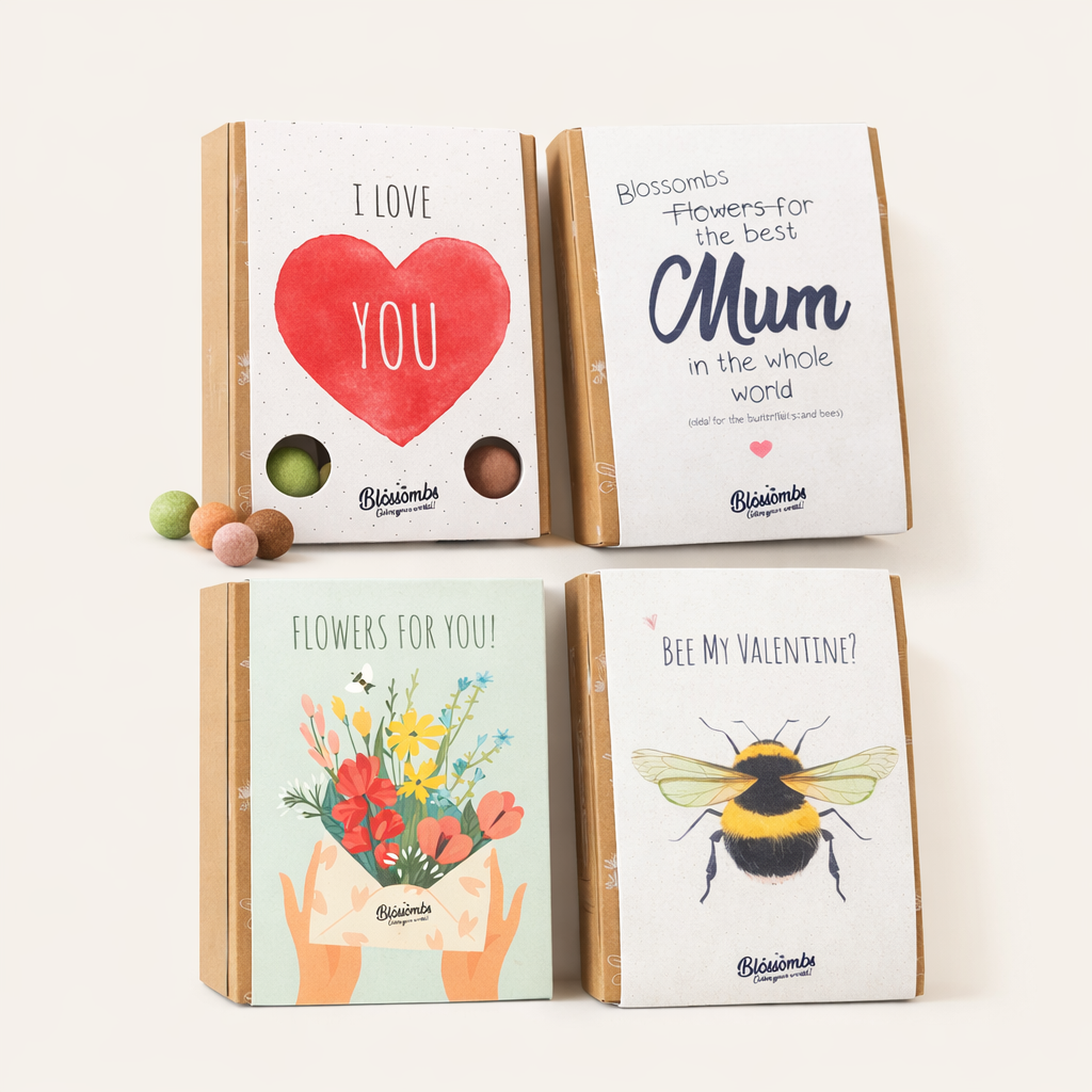 Siemenpallot lahjapakkauksessa (4 kpl) – Valonlehti